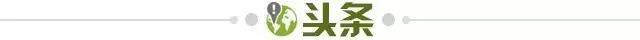 电子竞技投注-【早报】二娃又“阳”！屋漏逢雨，拜仁无人…